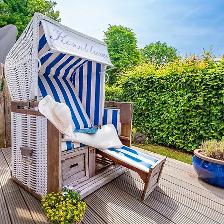 Nyaraló Kornblume Zingst